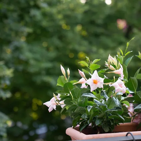 Il Torrione Relais بيت ضيافة 3*