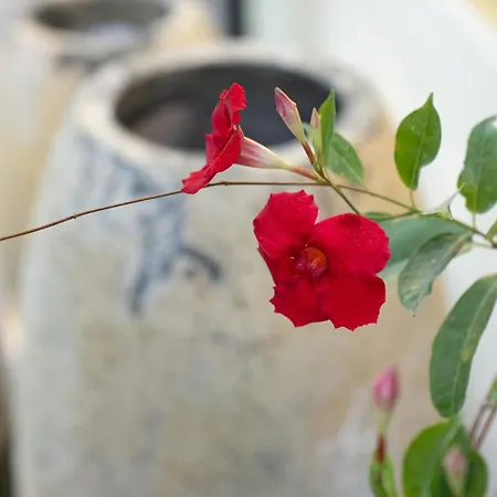 Il Torrione Relais بيت ضيافة سيرولو